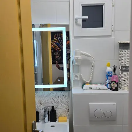 Mini Dore 10m2 Daire Massy (Essonne)