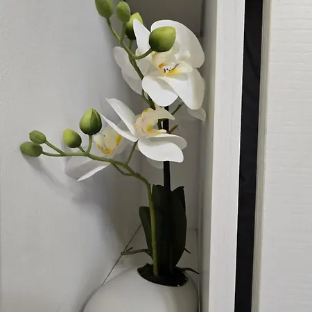 Mini Dore 10m2 Apartment