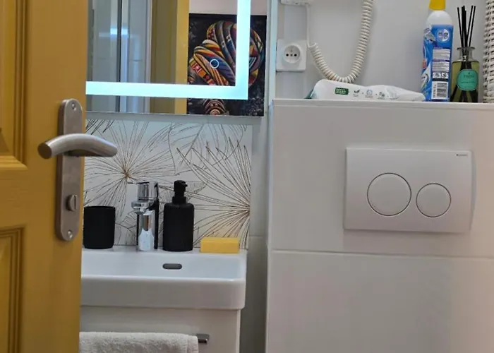 Mini Dore 10m2 Apartment Massy (Essonne)