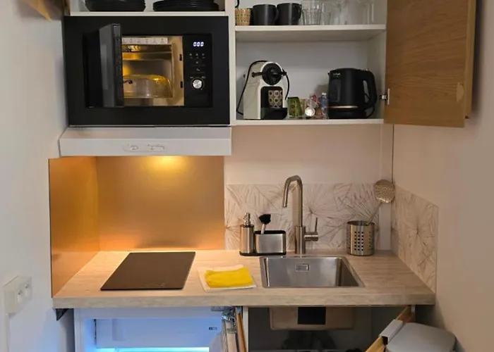 Apartment Mini Dore 10m2 Massy (Essonne)